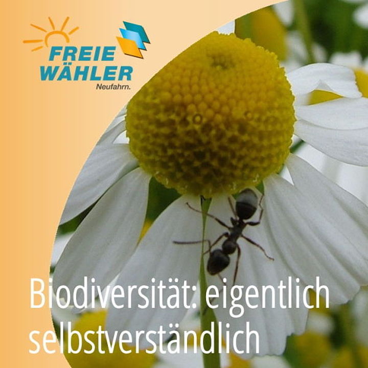 Biodiversität - Bildercollage: Bp
