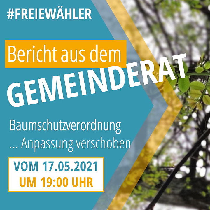 Baumschutzverordnung - Gemeinderatssitzung - Design: Bp