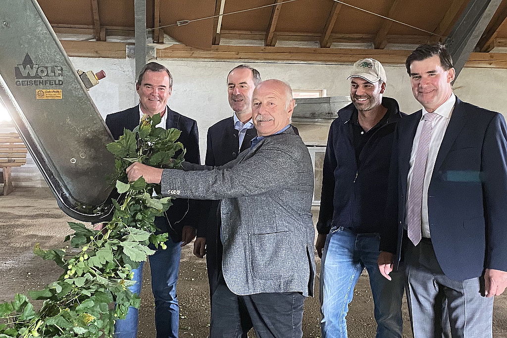 So wird Hopfen eingefädelt - Bild: A.Raith