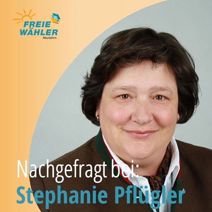 Stephanie Pflügler, Gemeinderätin