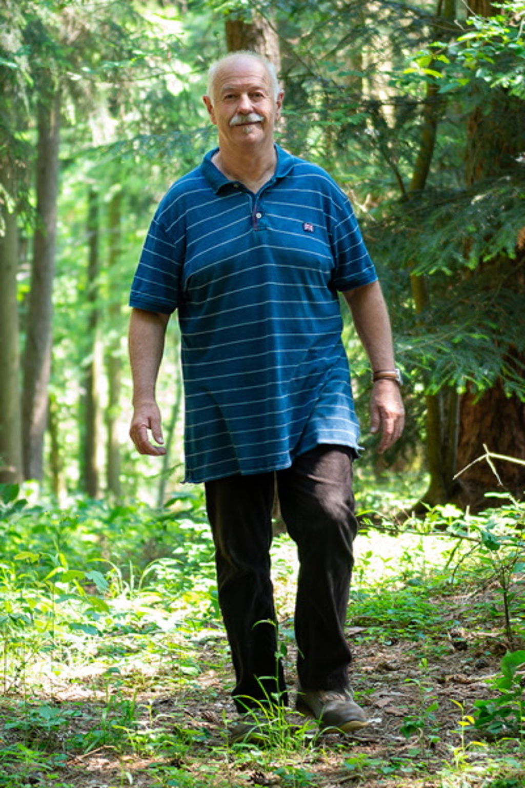 Benno-Zierer-im-Wald - Bild: cschranner