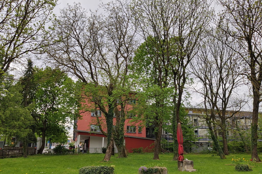 Baumbestand bei Georg Hagn