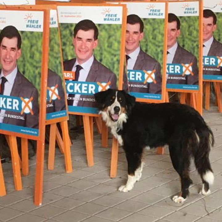 Fertige Plakatständer von Karl Ecker - Bild: SPf