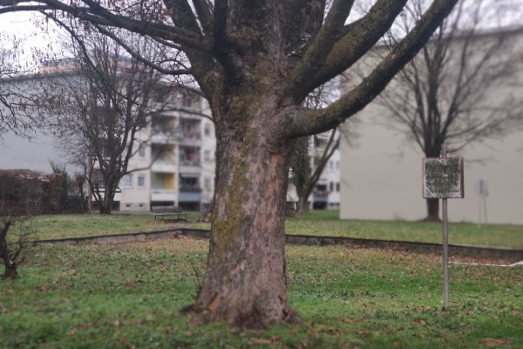 Grünflächenerhalt - Bild: Bp